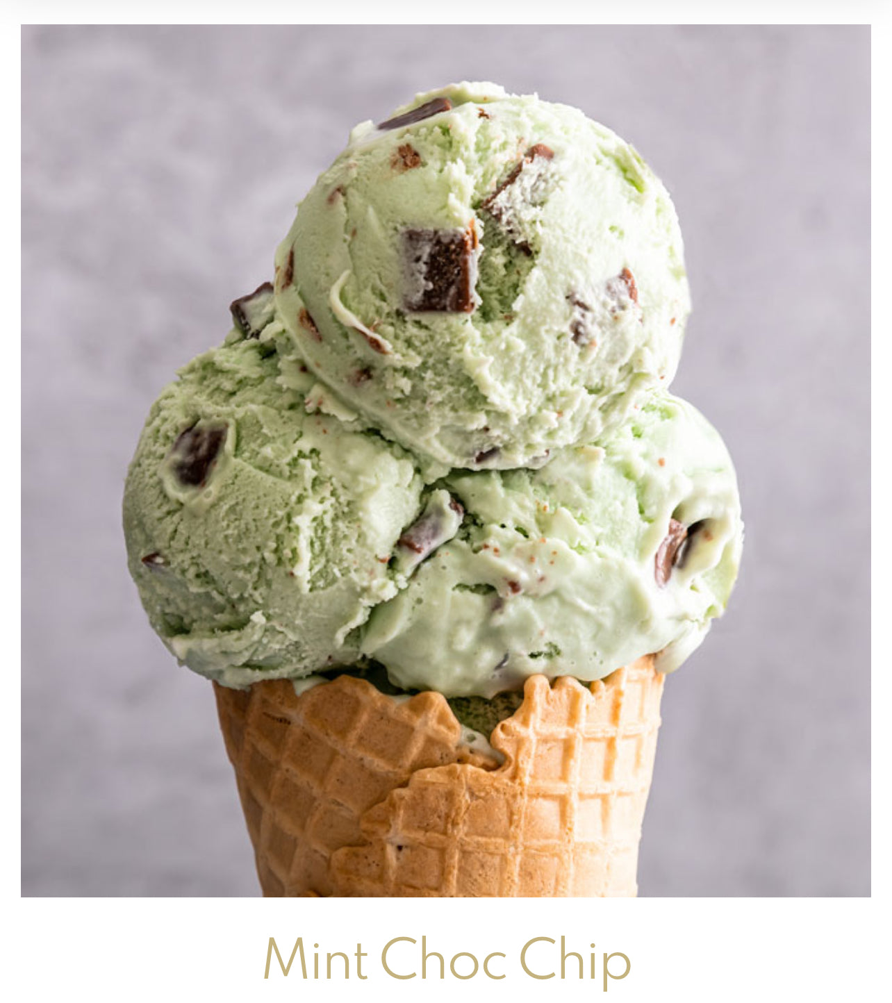 Mint Choc Chip